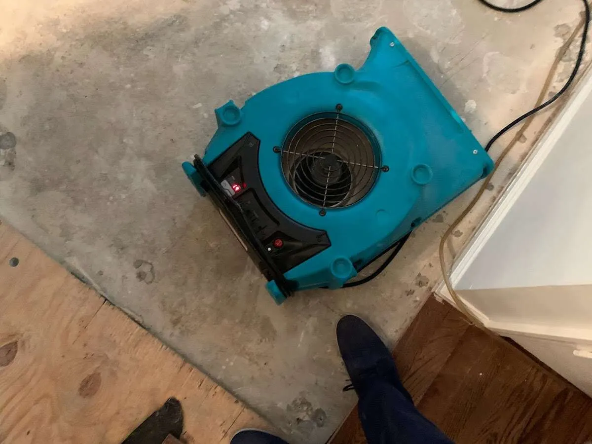 Air mover drying subfloor during Leak Detection & Repair in Kirtland